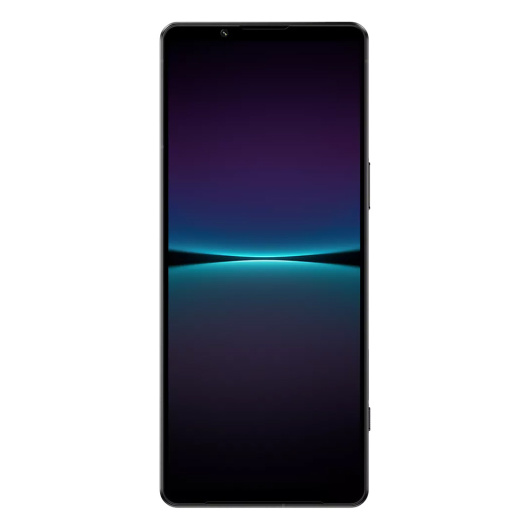 Sony Xperia 1 IV 12/256Gb Global Черный