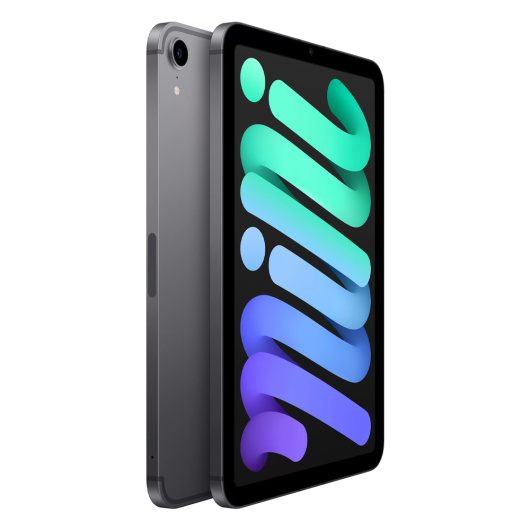 Планшет Apple iPad mini (2021) Wi-Fi + Cellular 64Gb Серый