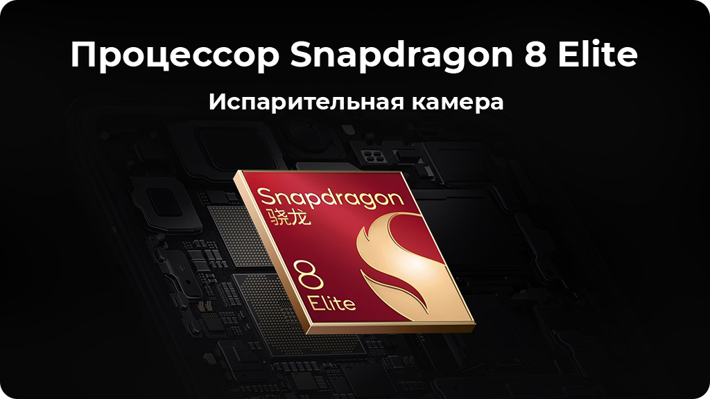 OnePlus 13 12/256Gb Dual nanoSim Черный Global